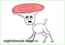 Frisbie Pie Company дог фризби фрисби dog frisbee